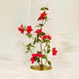 White decorative tree - TRDS-152