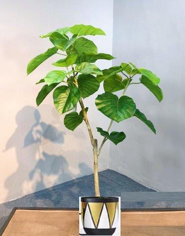 Tree vase