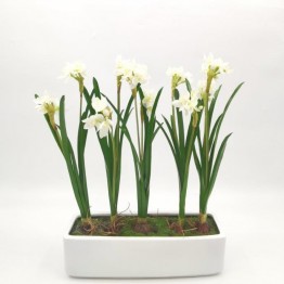 Modern white vase TRD-199