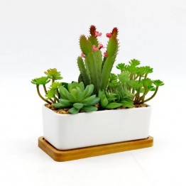Cactus flower plant pot - White TRD-126 