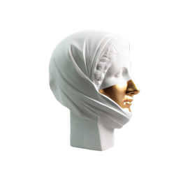 تحفة ديكور رأس تمثال HT-69958