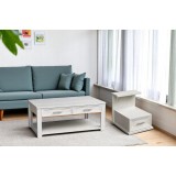 New Classic coffee table set (1+2) QAS-0001