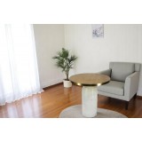 Modern metal end table 68593