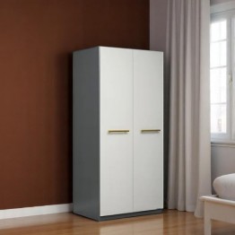 Modern wardrobe 622