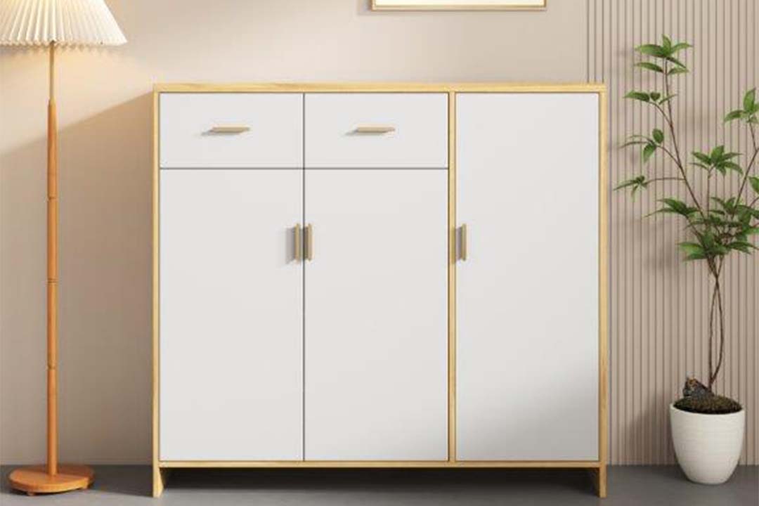 Modern shoe cabinet 312