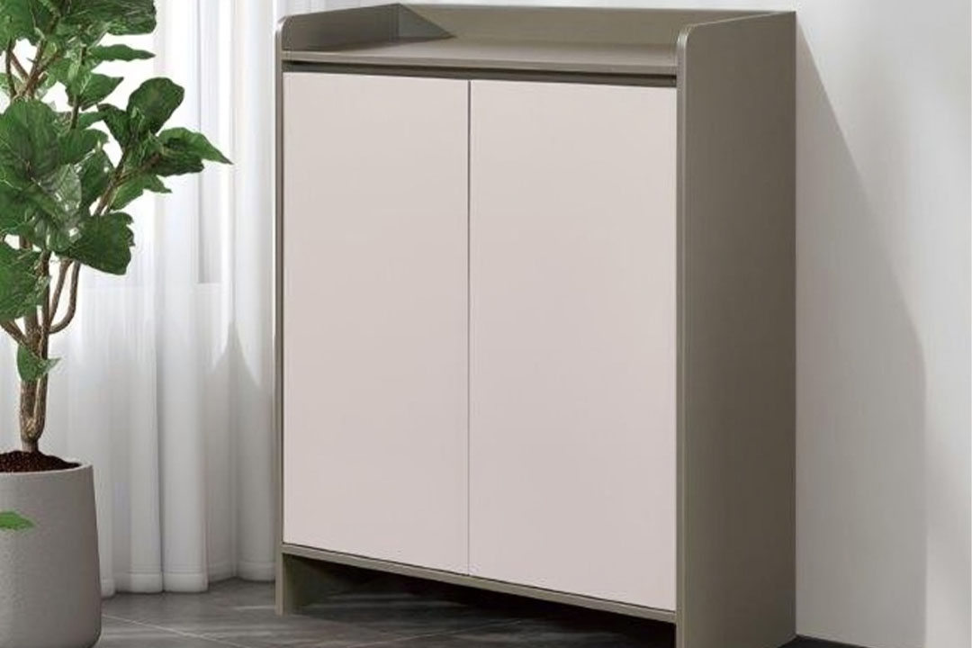 Modern shoe cabinet 508