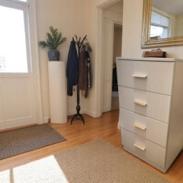 Modern shoe cabinet 712