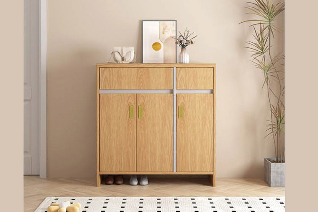 Modern shoe cabinet 503