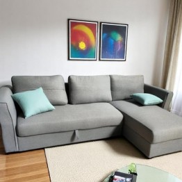 Modern Gary Sofa Bed C-002