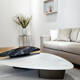 Modern single table CJ-850