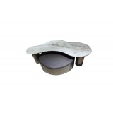 Modern single table CJ-824