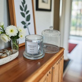 modern Diffuser Sapphira