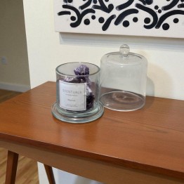 modern Diffuser Mauve