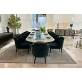 Dining table with 12 chairs, modern style, CAS-347